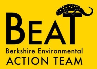BEAT